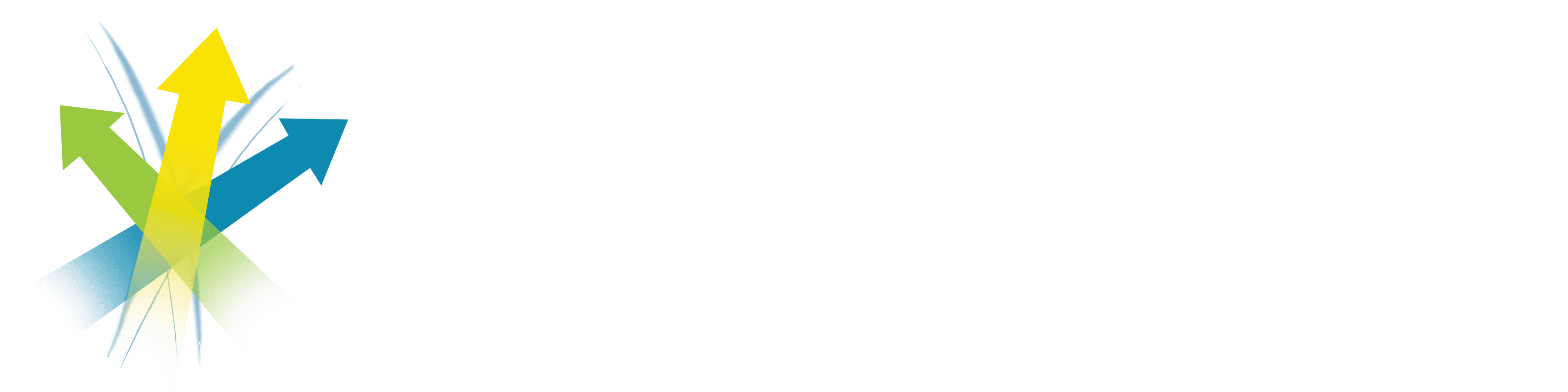 Rizvi Brothers Inc Logo